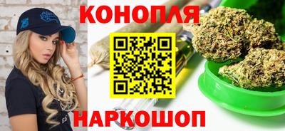 гидропоника Ставрополь