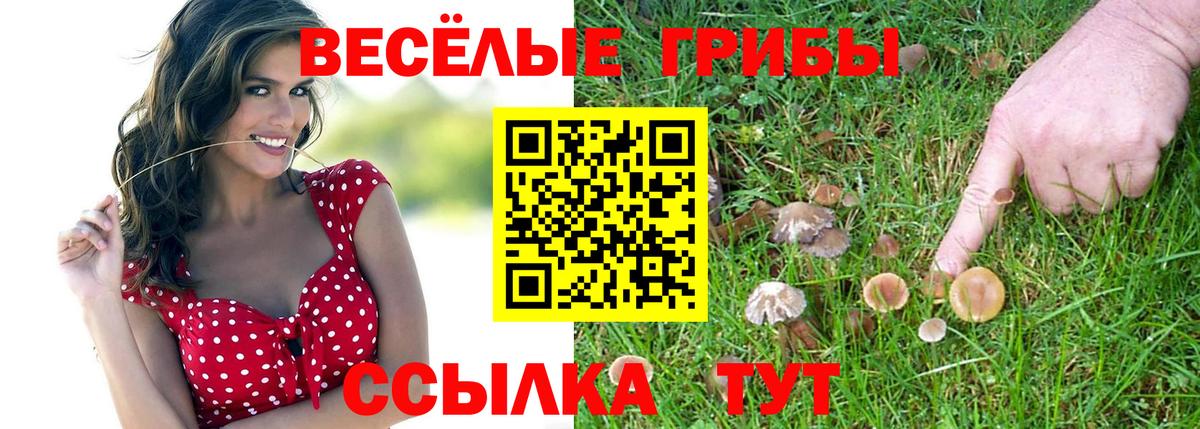 Псилоцибиновые грибы MAGIC MUSHROOMS Реж